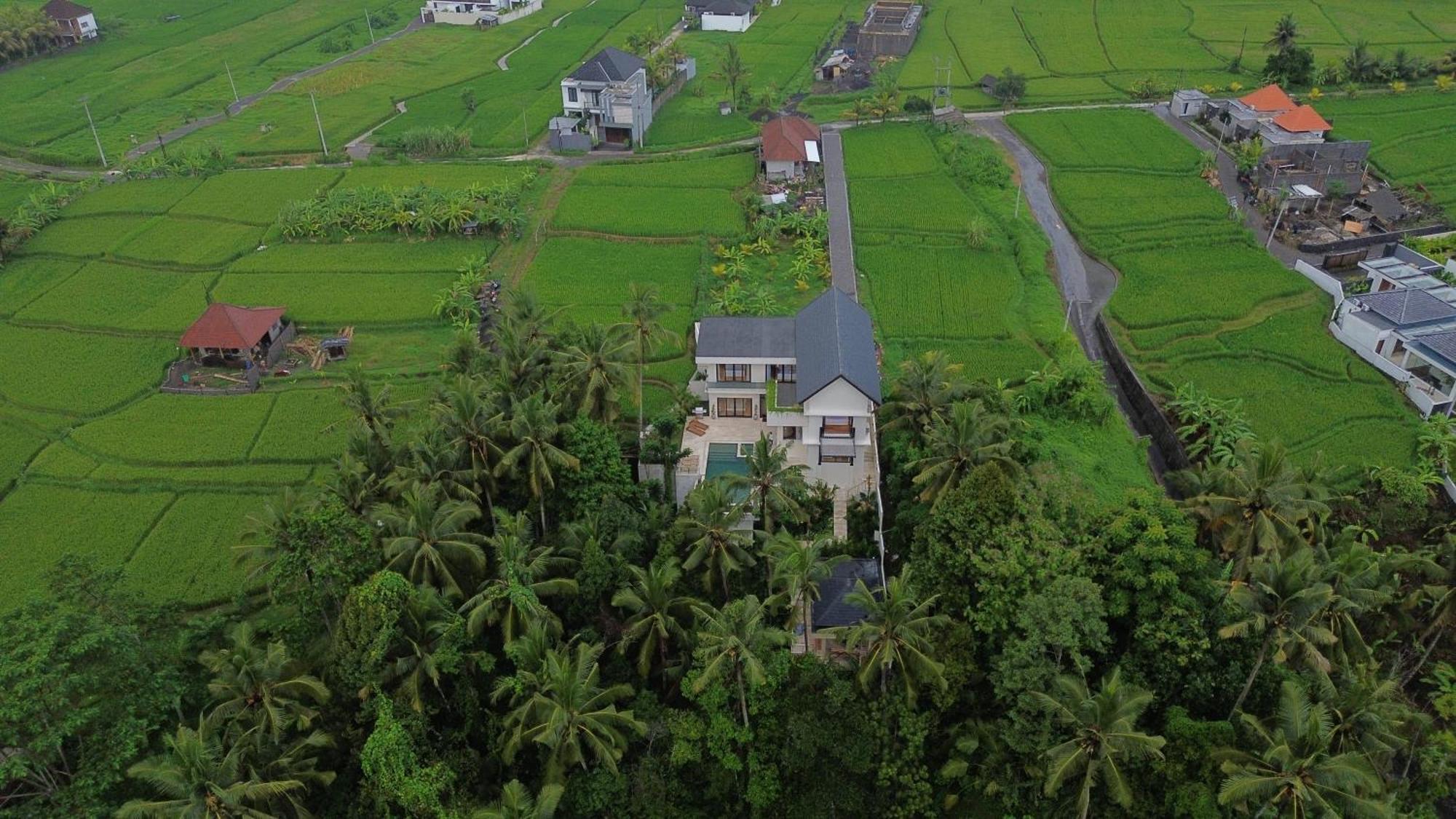 Honey Villa Ubud By Island Escape Exteriér fotografie